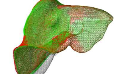 Physic-based Neural Networks